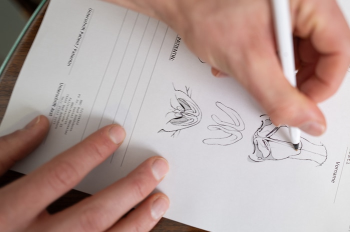 Behandler beim Ausfüllen eines Untersuchungsbogens in der HNO-Praxis in Bruchsal.